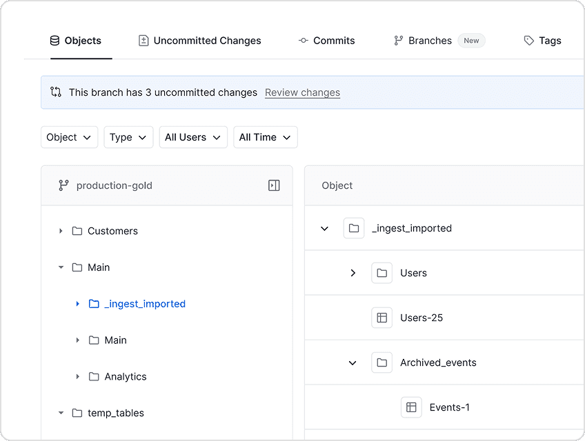 Branch Management for Data Lakes